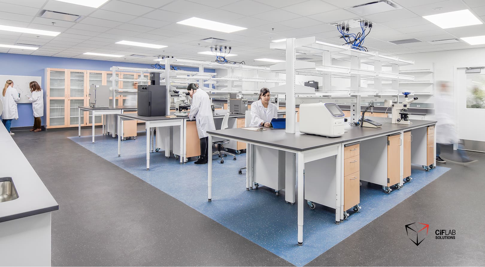 The Evolutionary Lab: Why Biophilic Casework is the Standard for 2026
