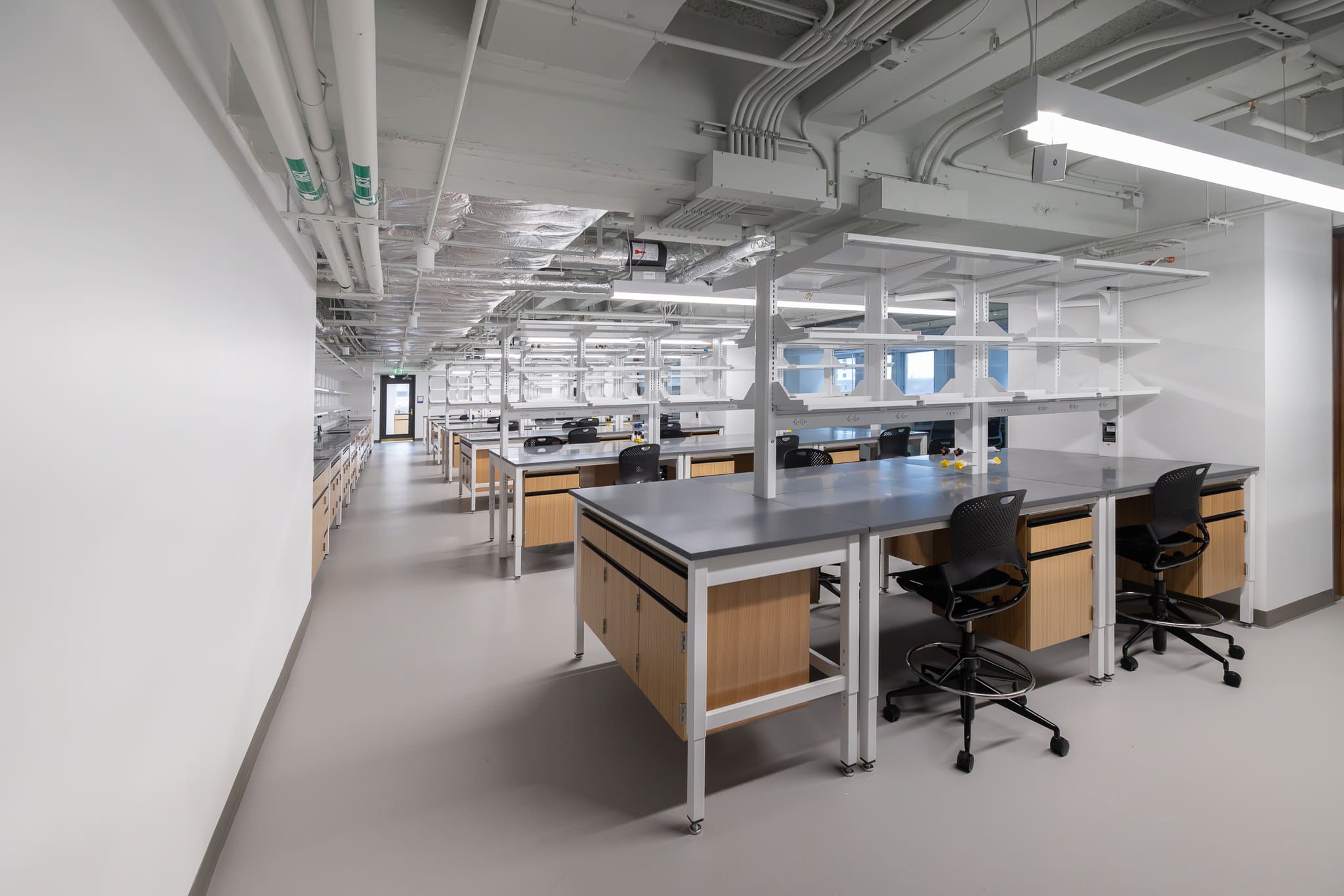The Durable Biophilic Lab: Wood Casework Assets