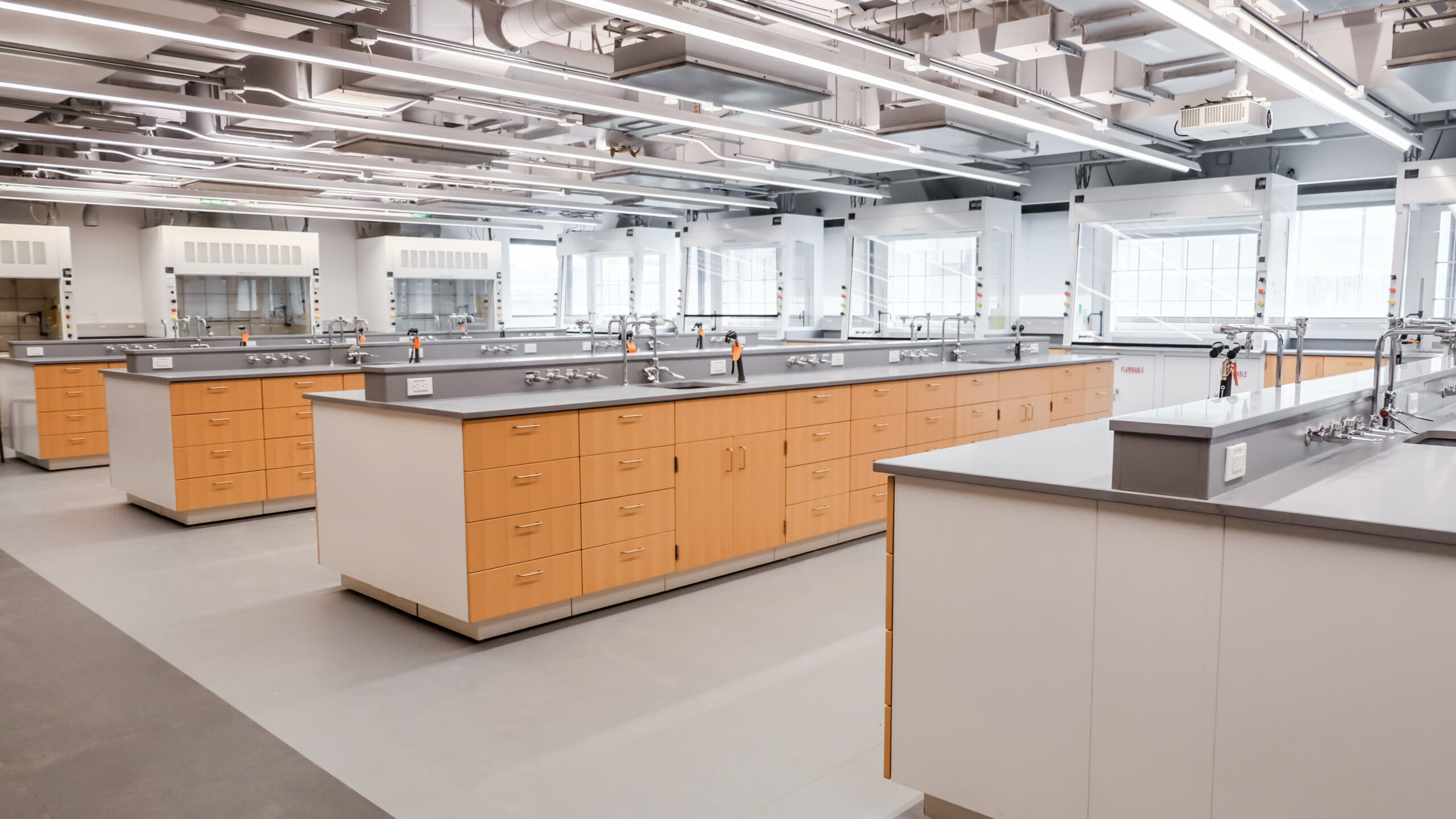 The Future of Lab Design: Biophilic Trends Transforming Research Workspaces
